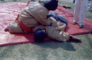 sumofun.jpg